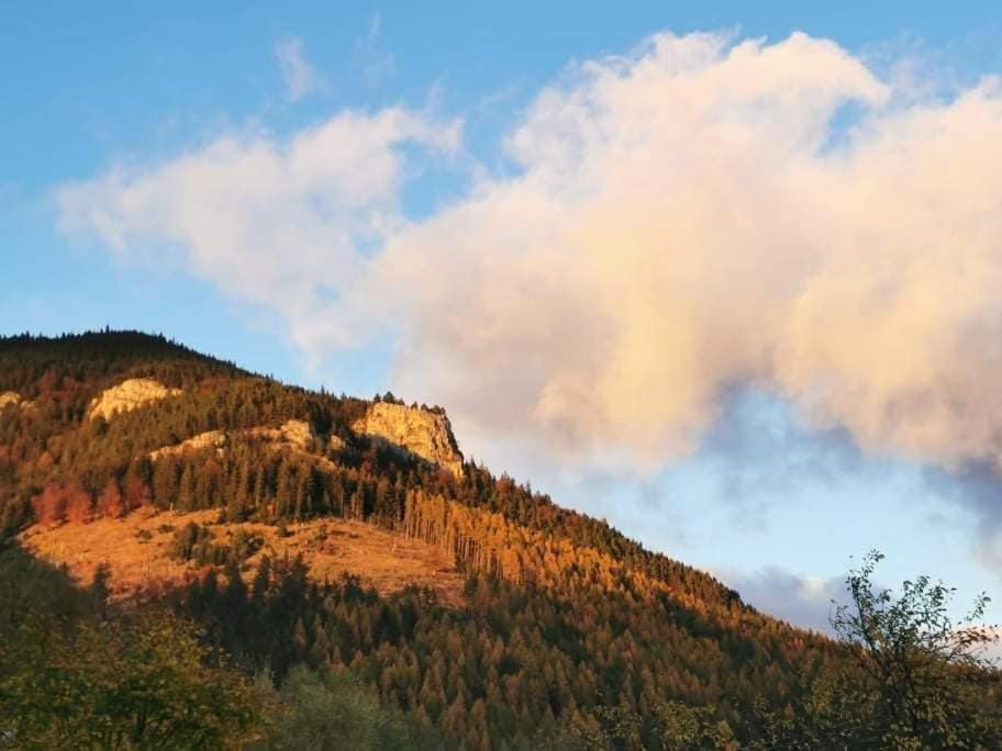 Apartmánový dom Adas Prosiek Esterno foto